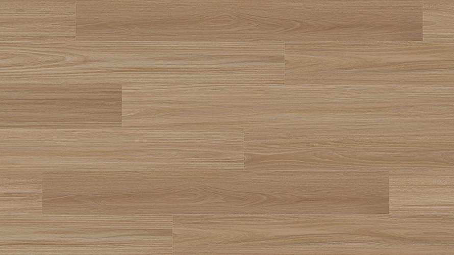Antares Blackbutt