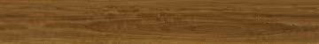 Western Spotted Gum