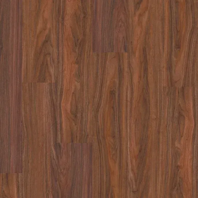 Tasmanian Myrtle