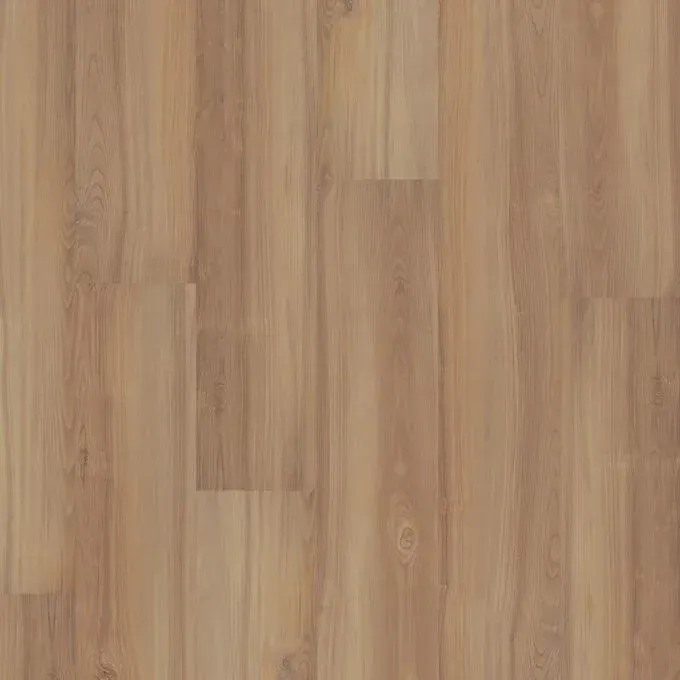 Washed Pine