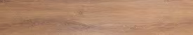 Blackbutt