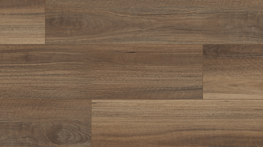 Mercury Spotted Gum