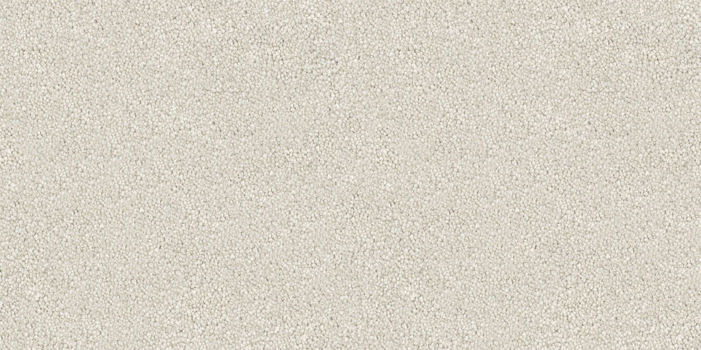 1 Bare Canvas
