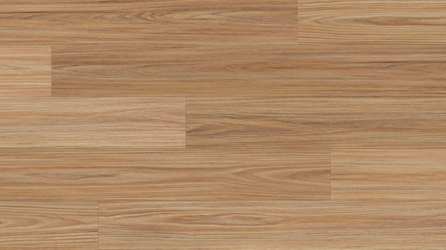 Rosy Blackbutt