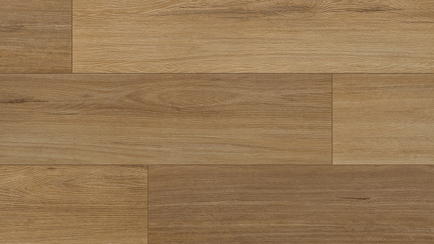 Venus Blackbutt