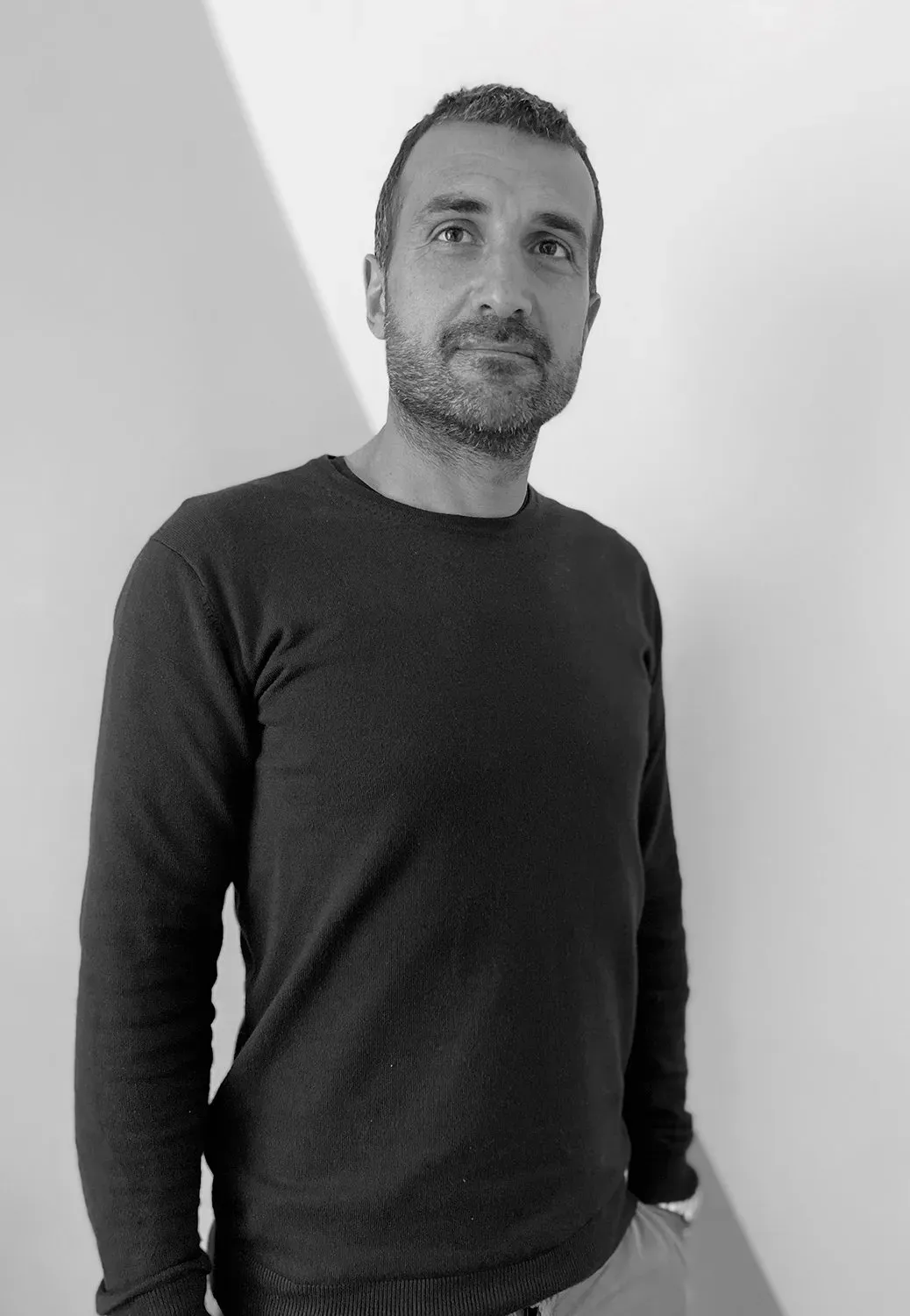Ing. LUCA DOMENICI