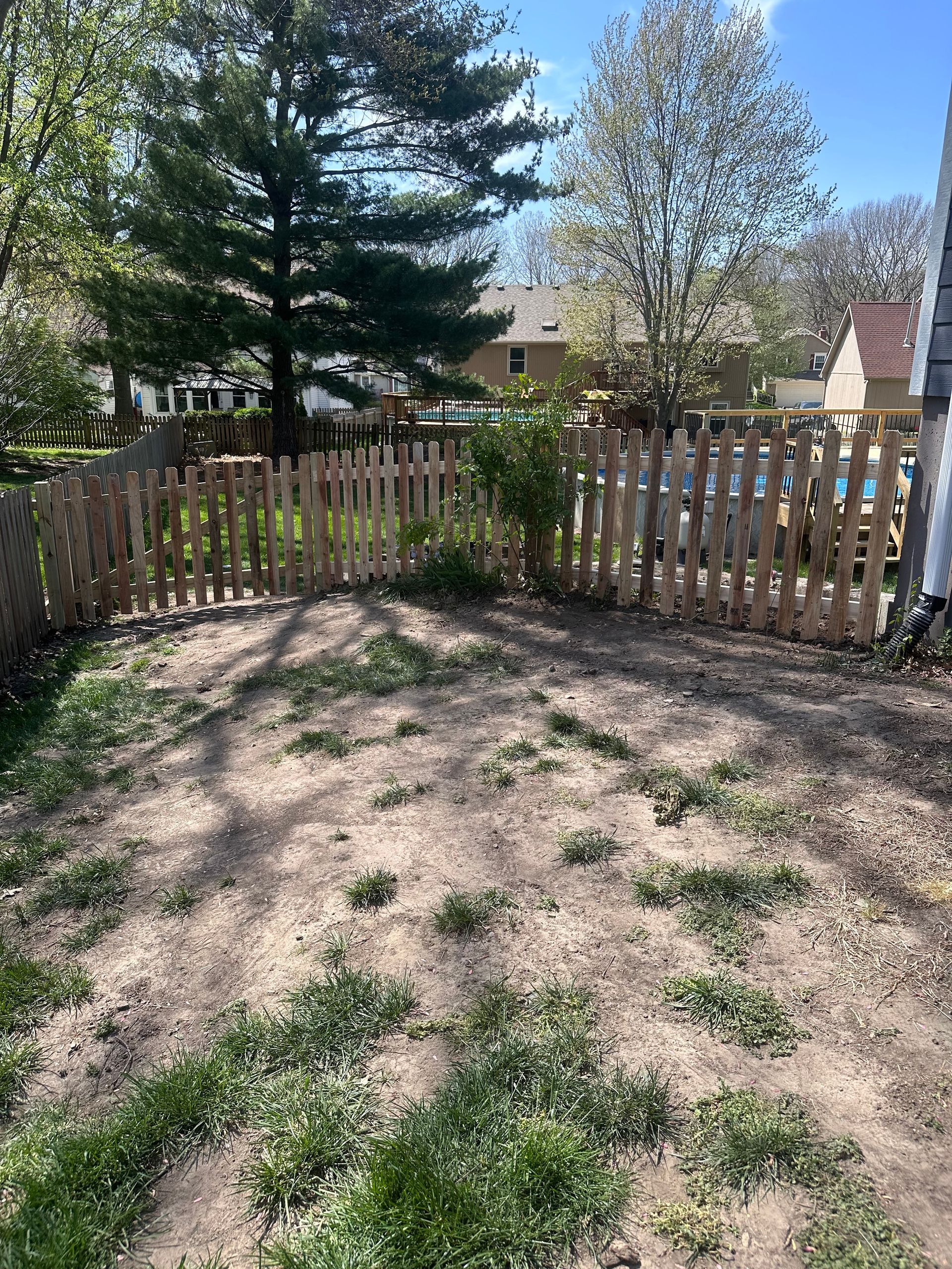 A small, fenced-in backyard with dirt, grass, and trees on a sunny day.