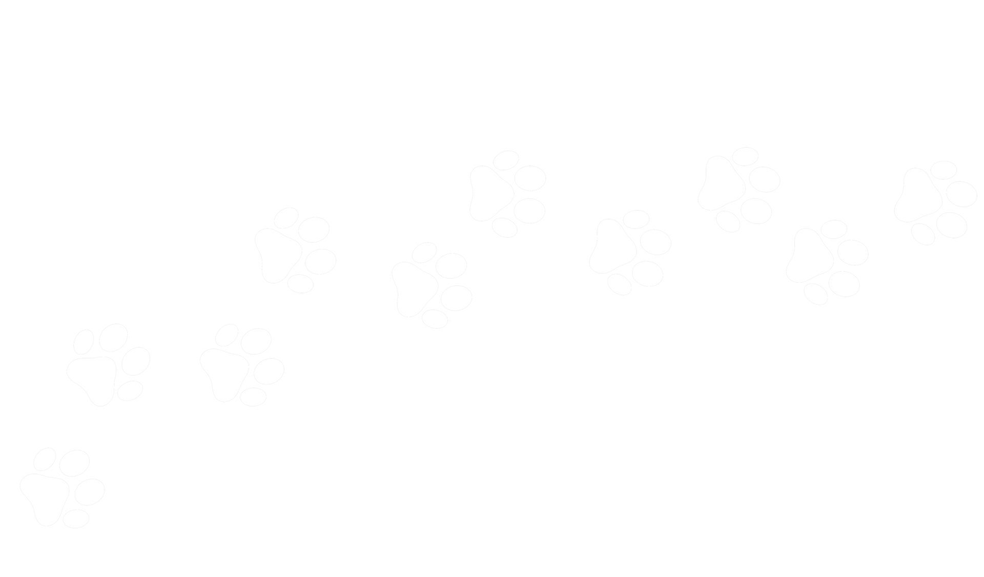 Scattered white paws on a white background. Scattered white paws on a white background.