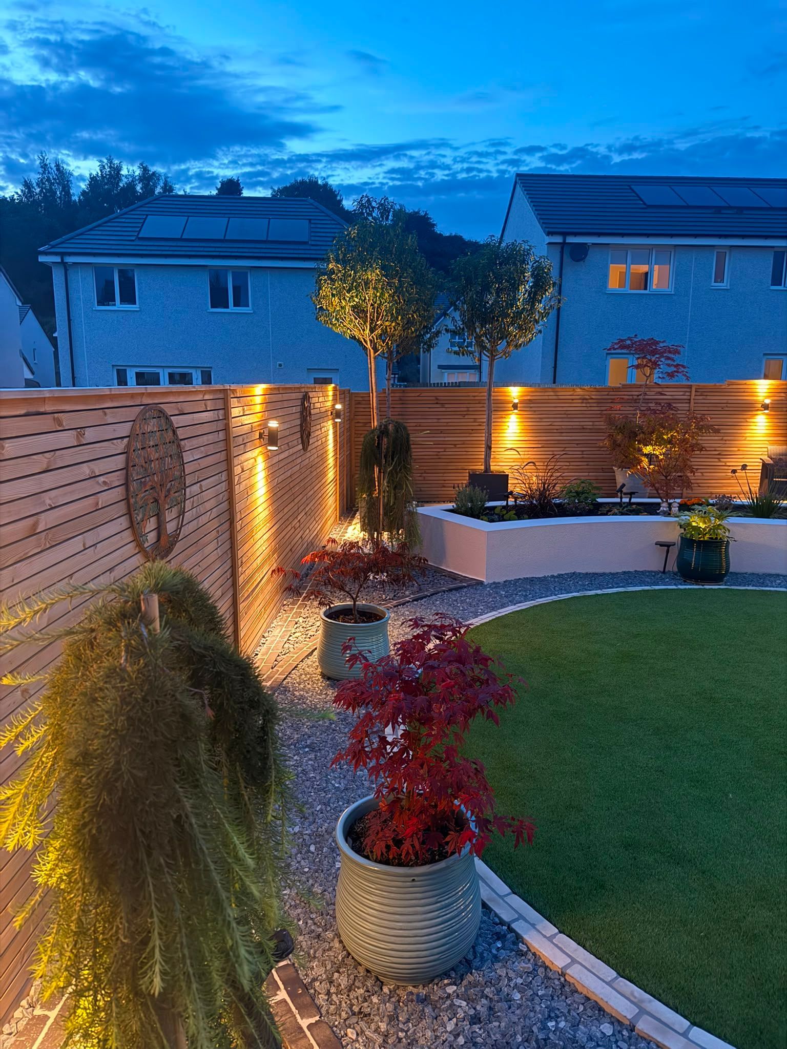 Layered planting and Japanese maples illuminated beside timber garden screening in Croy
