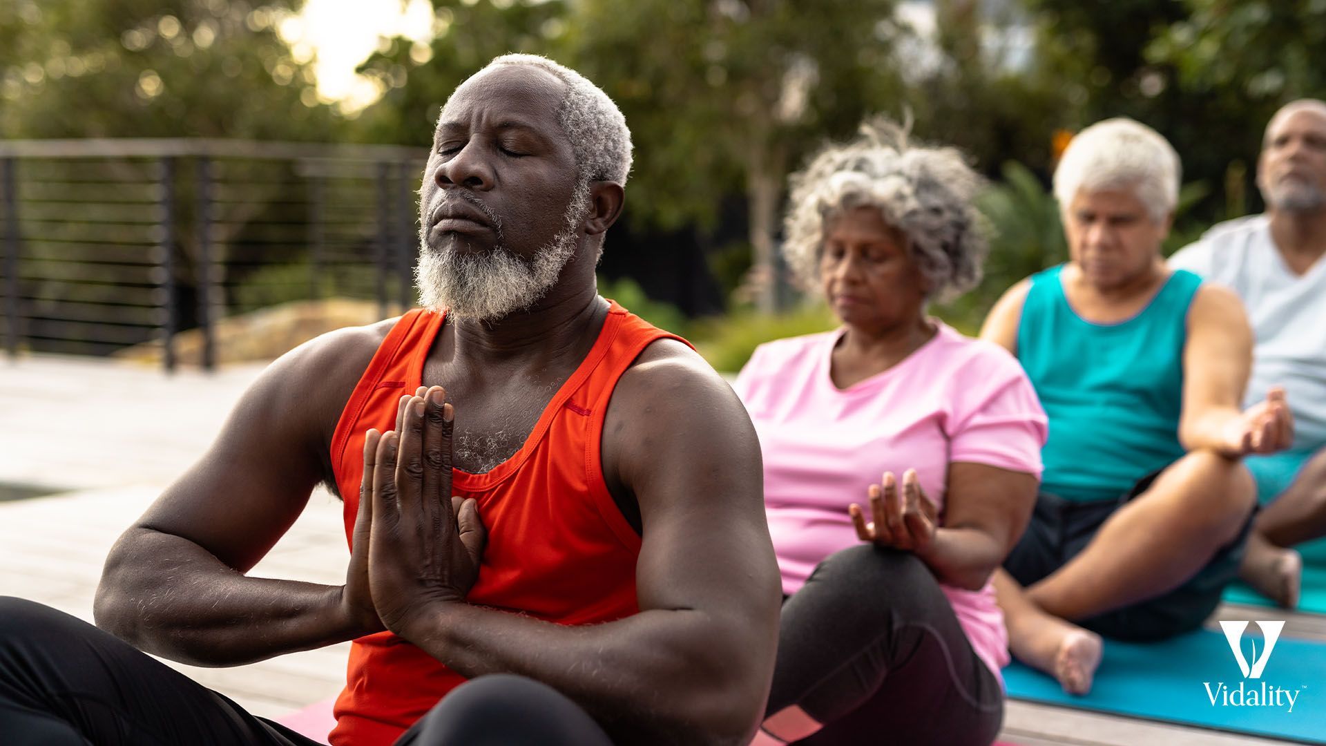 A diverse group of seniors practicing yoga together in a park, demonstrating strength and flexibility.