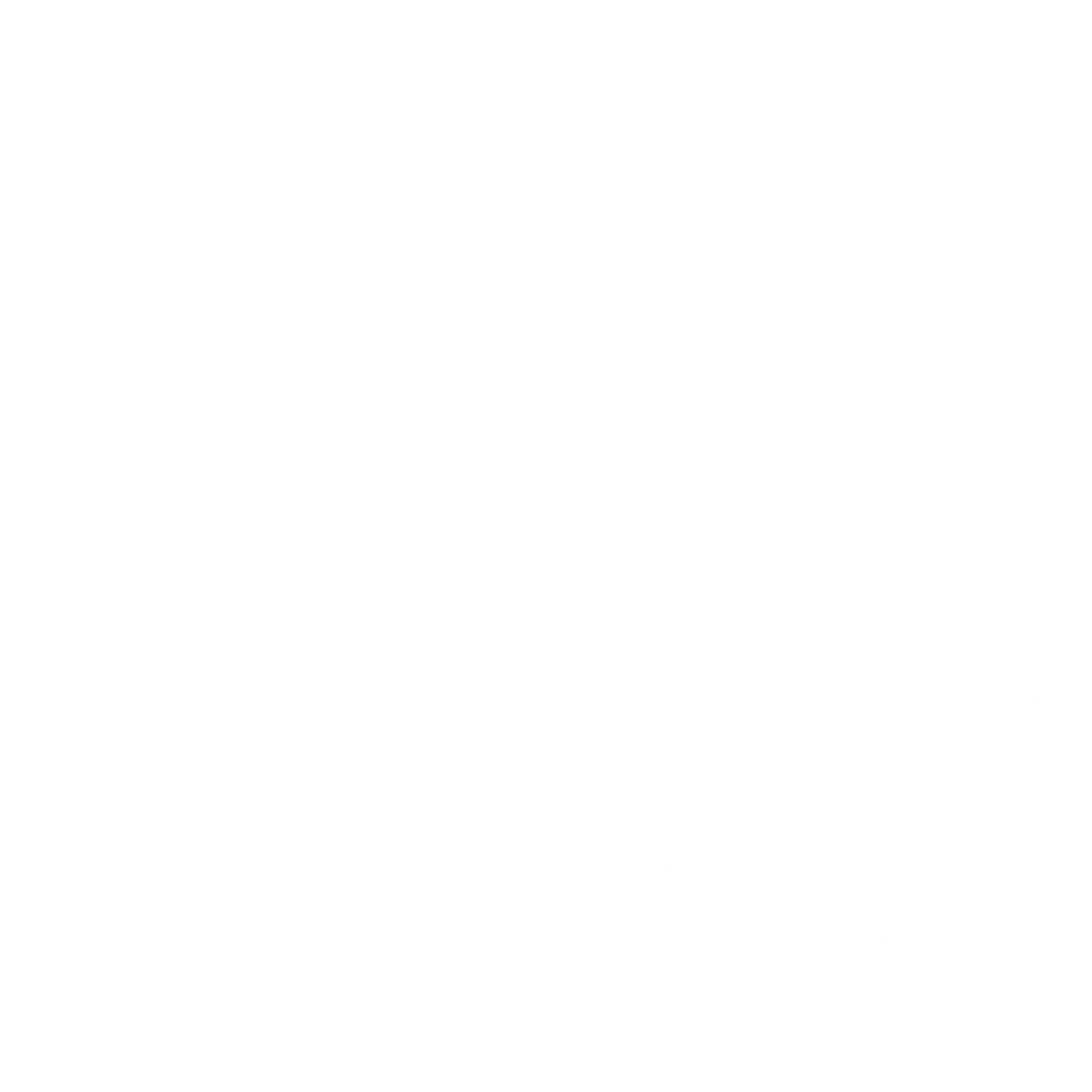 vidality logo