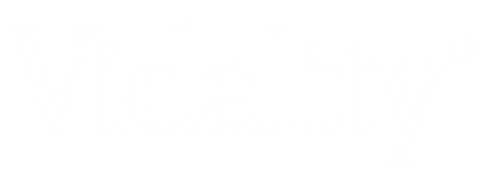 vidality logo