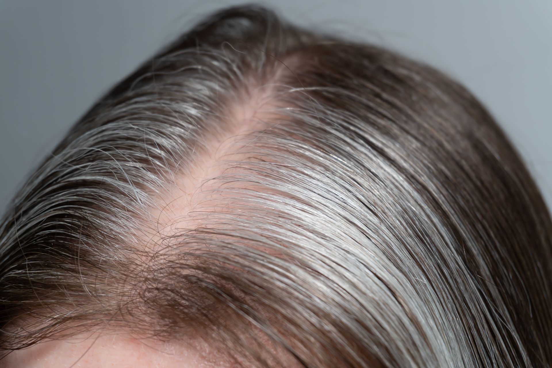 Close-up of hair with visible gray roots and natural dark brown strands