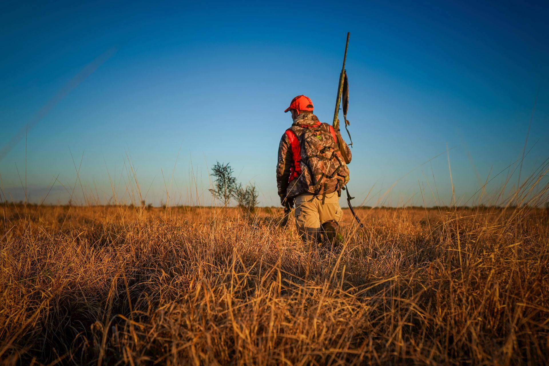 Camouflaged hunter in an orange vest walks through tall grass under a clear blue sky