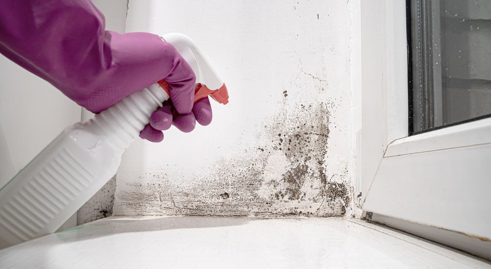 A Person is Cleaning Mould on Window — Vent Wise in Twin Waters, QLD