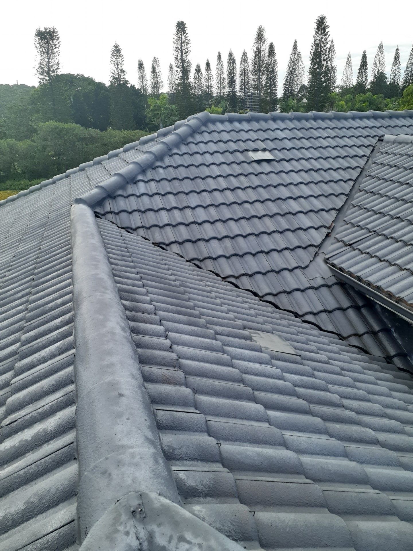 Gray tiled roof with a rounded edge, trees in the background.— Vent Wise in Twin Waters, QLD