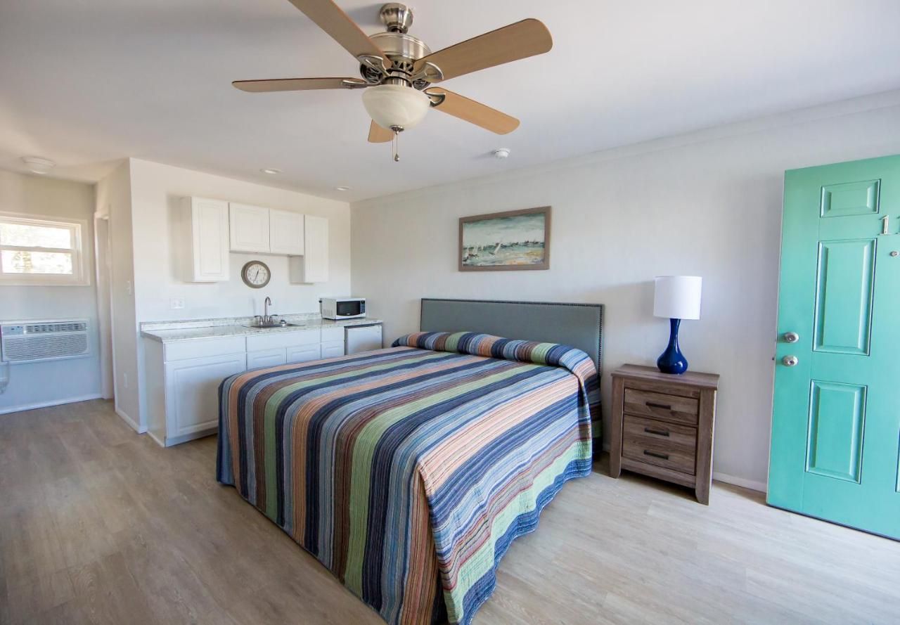 A hotel room with a bed , nightstand , lamp and ceiling fan.