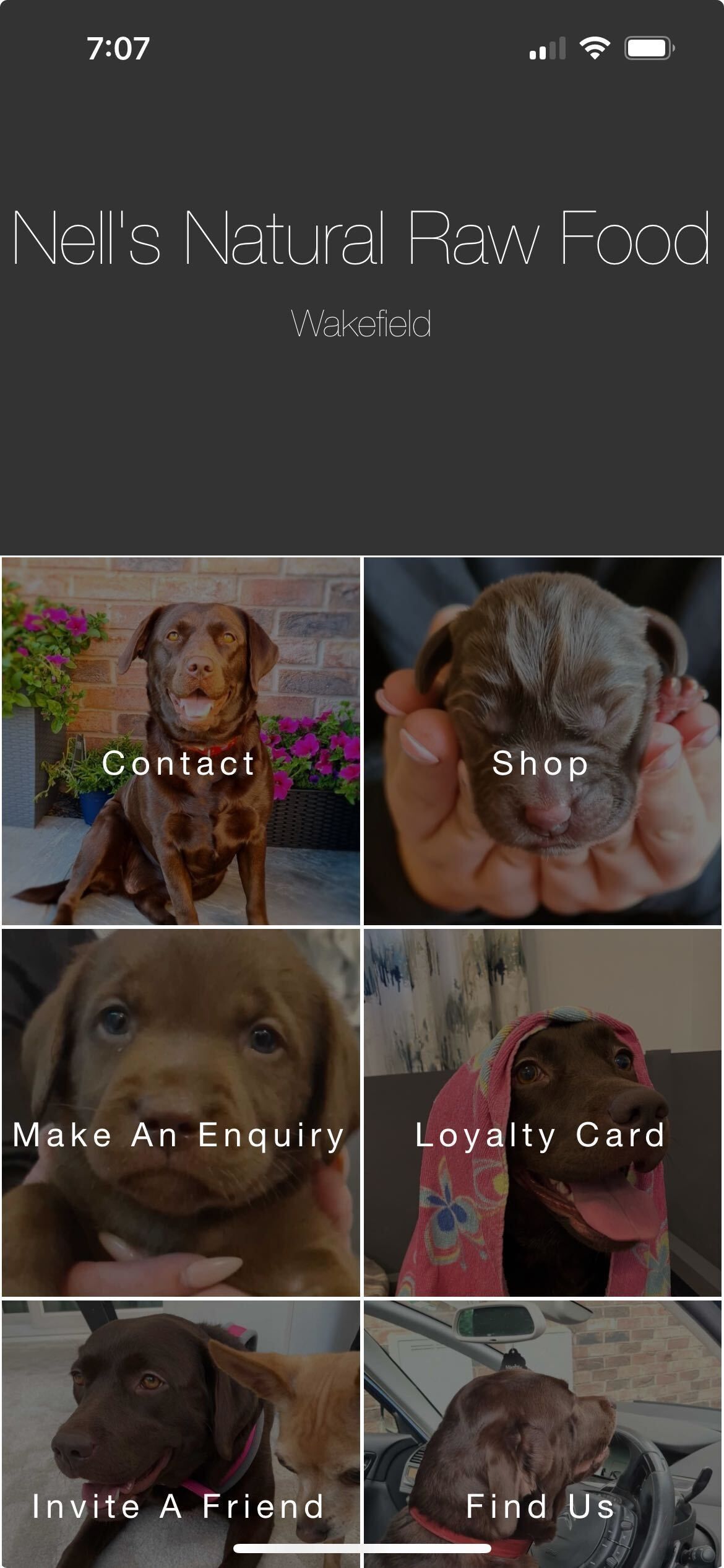 Mobile app with dog photos and buttons labeled: Contact, Usage, Make an enquiry, Love To Care, Write a Price, Find Us.
