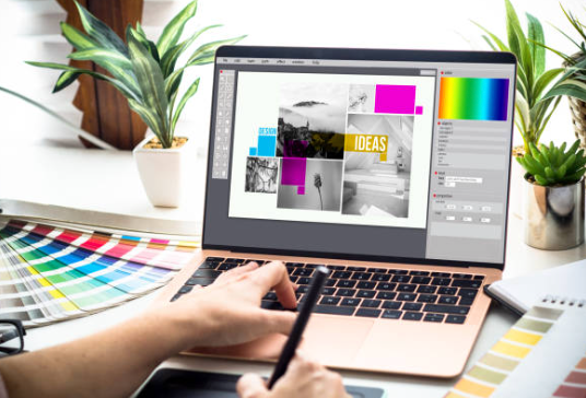 Person using a laptop with design software, color palette, and plants on a desk.