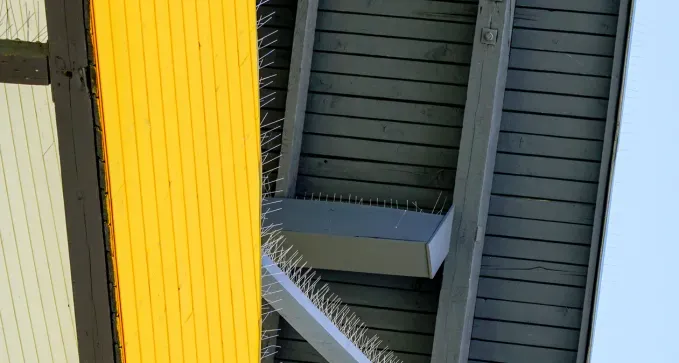 instalación de dispositivos anti aves a precio económico en Cáceres