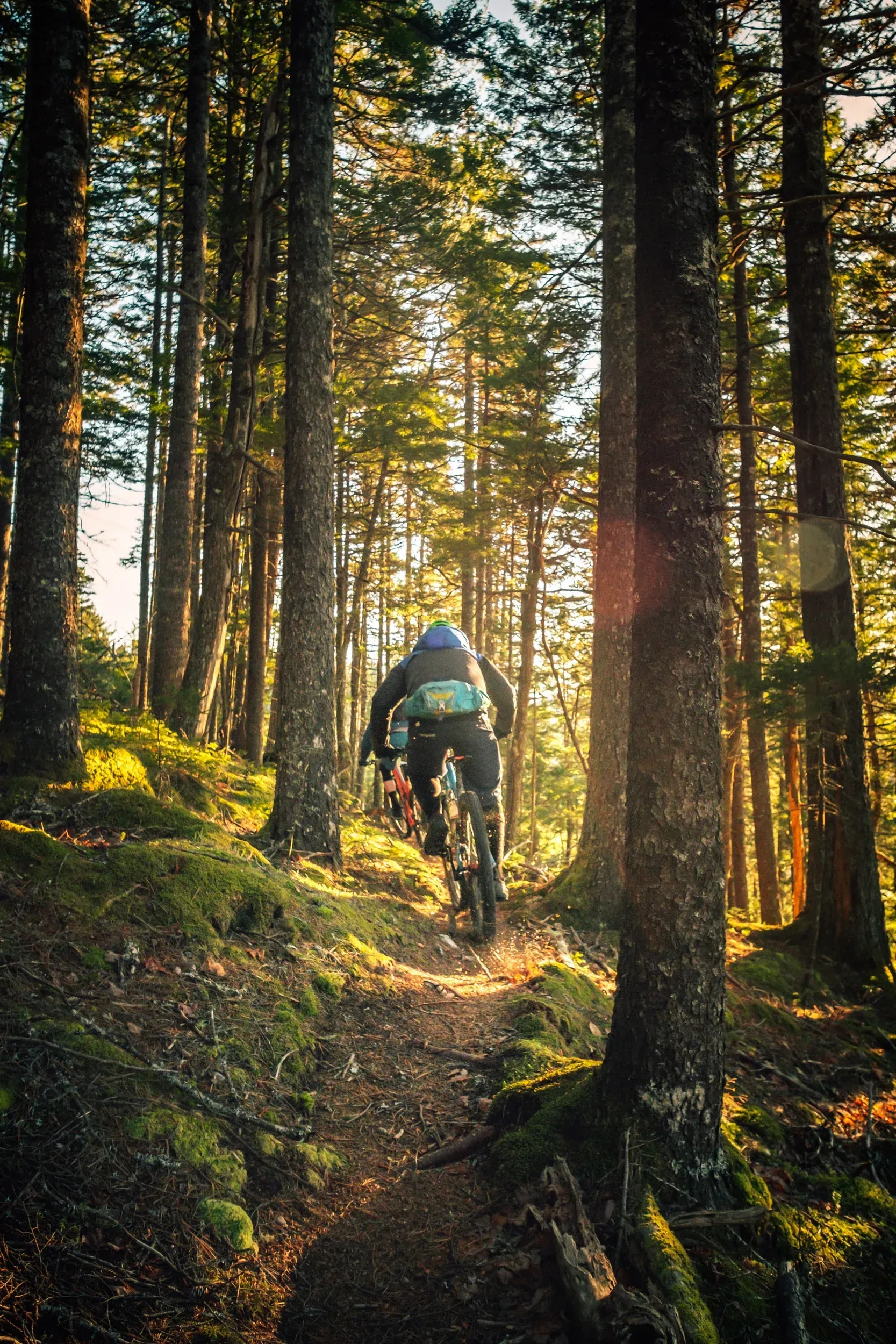 A person is riding a bike down a trail in the woods.