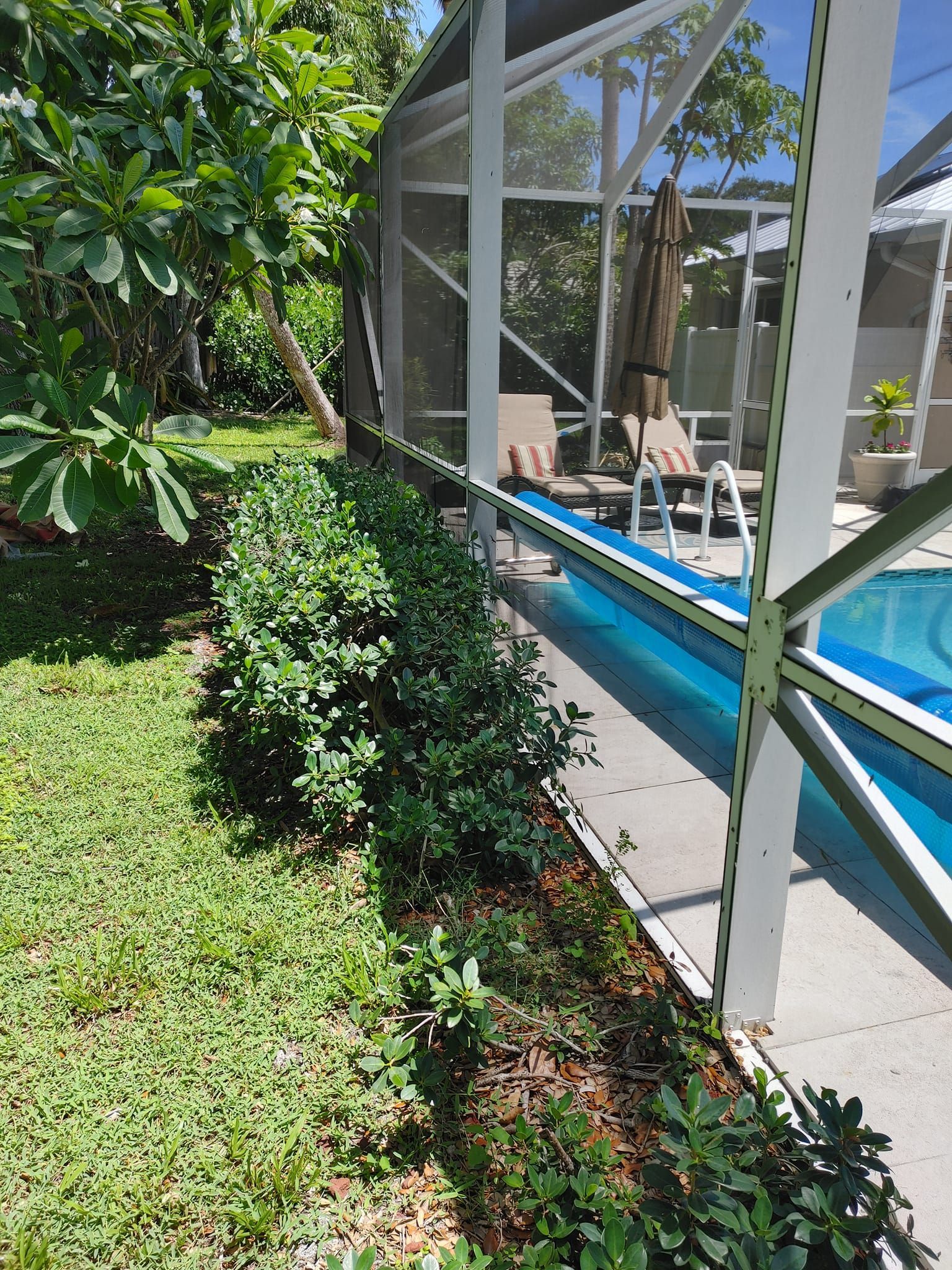 A swimming pool is surrounded by a screened in area with chairs and umbrellas.
