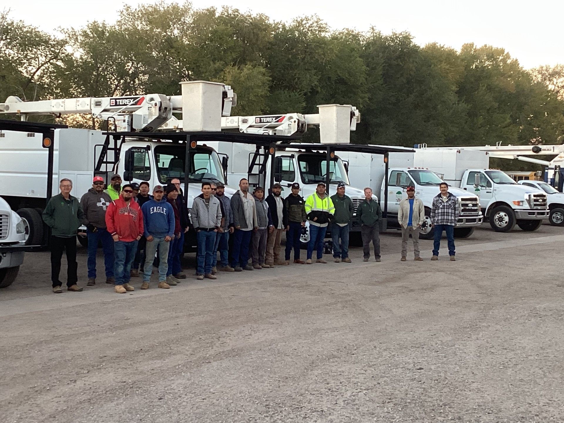 Baca's Trees Gallery