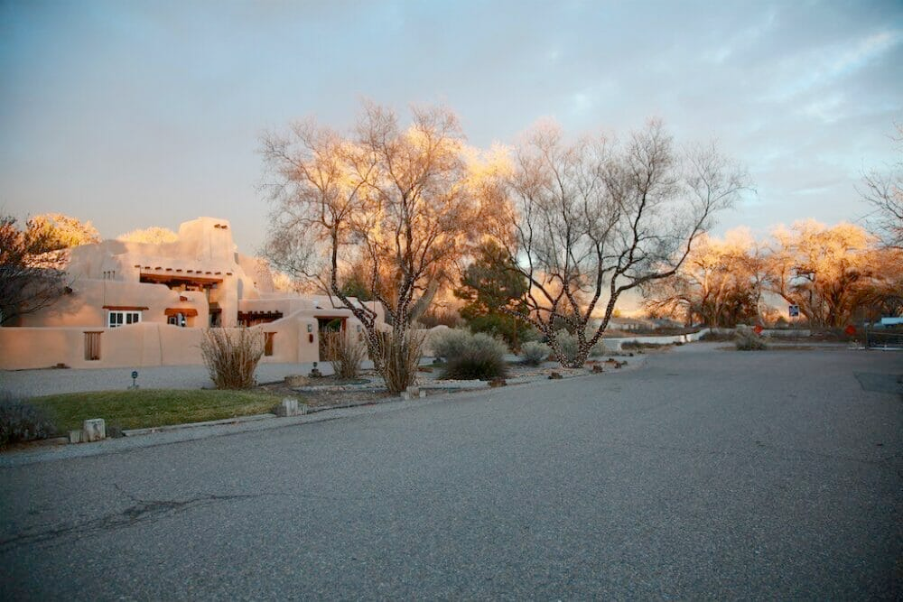 Tree Diagnostics in Albuquerque, NM Baca's Trees