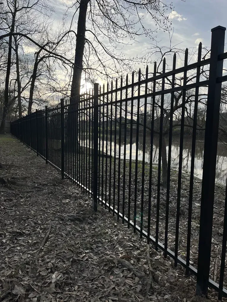 Black iron fence along a leaf-covered path beside a river under bare winter trees