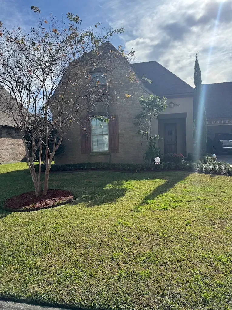 Brick suburban house with front lawn, small tree, and bright sunlight on the facade