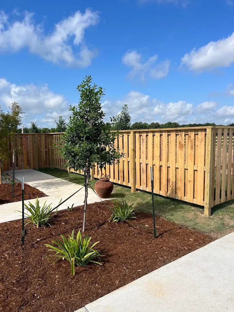 Landscaped backyard with young trees, mulch beds, concrete path, and a wooden privacy fence under a blue sky