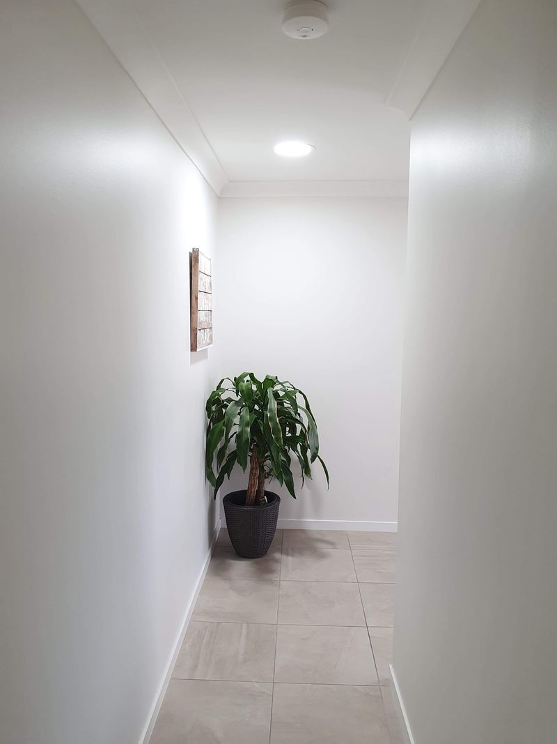 A hallway with a potted plant in the corner.
