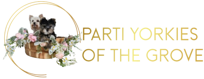 Parti Yorkies of the Grove Logo