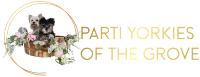 Parti Yorkies of the Grove Logo