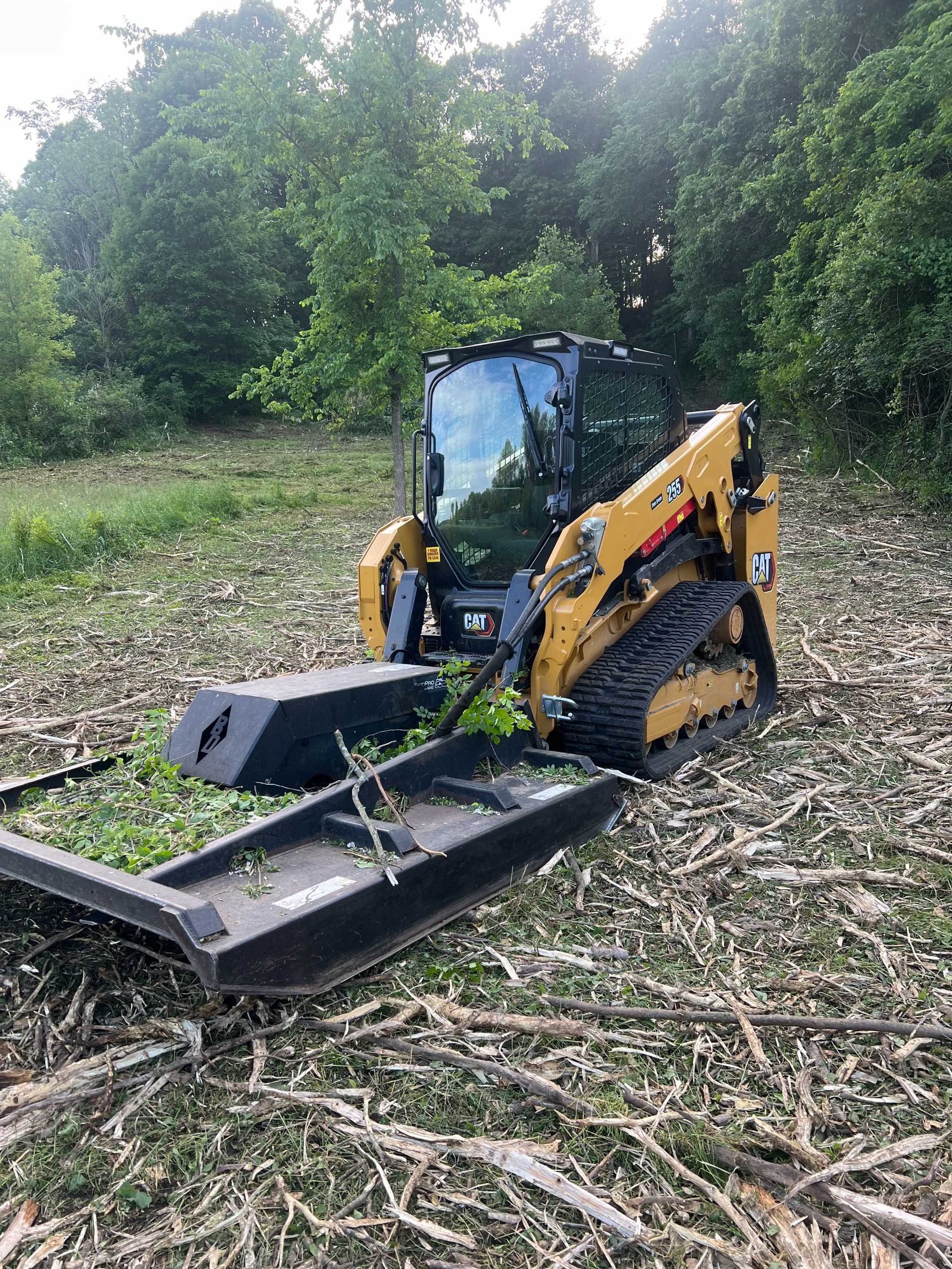 A yellow Caterpillar skid steer with a black brush cutter attachment clears brush in a wooded area.