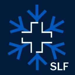 Eine blau-weiße Schneeflocke mit dem Wort „slf“ darunter
