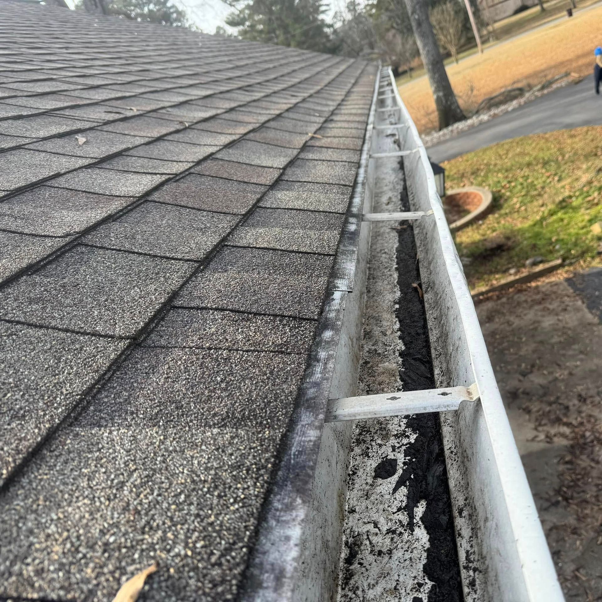 A white rain gutter along a dark shingled roof, filled with dark debris and leaves, viewed from above.