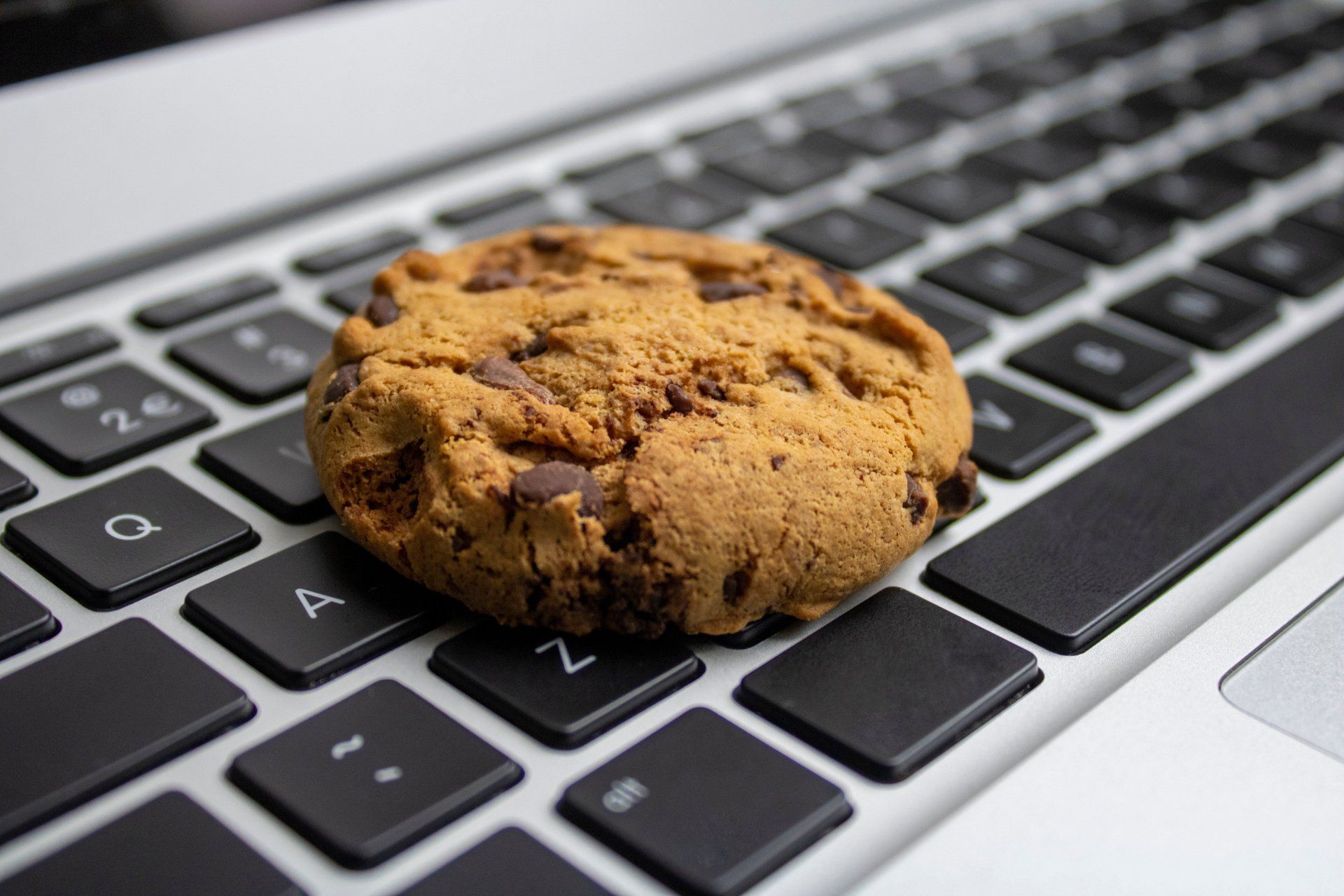 Cookie on keyboard