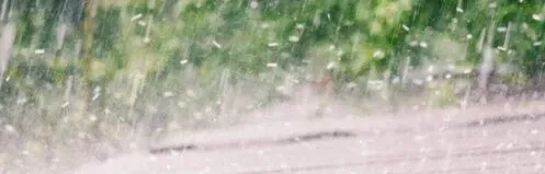 Rain streaking across a car window with blurred green trees outside