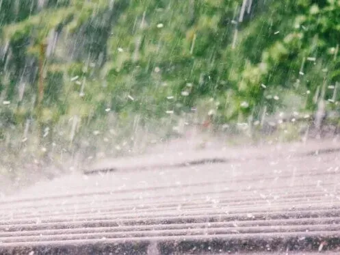 Rain falling on a wet road with blurred green trees in the background