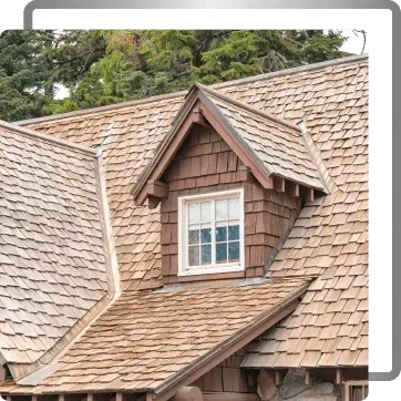 Close-up of a brown shingled roof with a dormer window and peaked gables amid trees