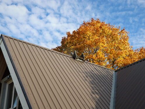 Metal roof with autumn tree and blue sky in the background