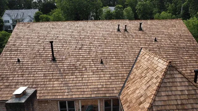 Tan shingled roof with multiple vents and a small chimney, seen from above with trees in the background