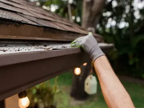 Gloved hand cleaning moss from a roof gutter beside hanging string lights