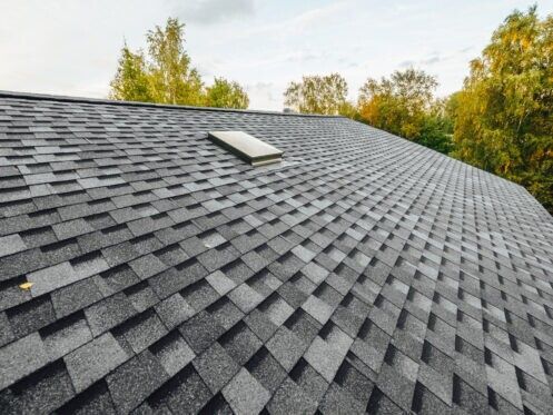 Close-up of a dark gray shingled roof with a skylight and trees in the background
