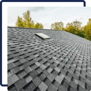 Dark gray shingled roof with a skylight, viewed against trees and sky