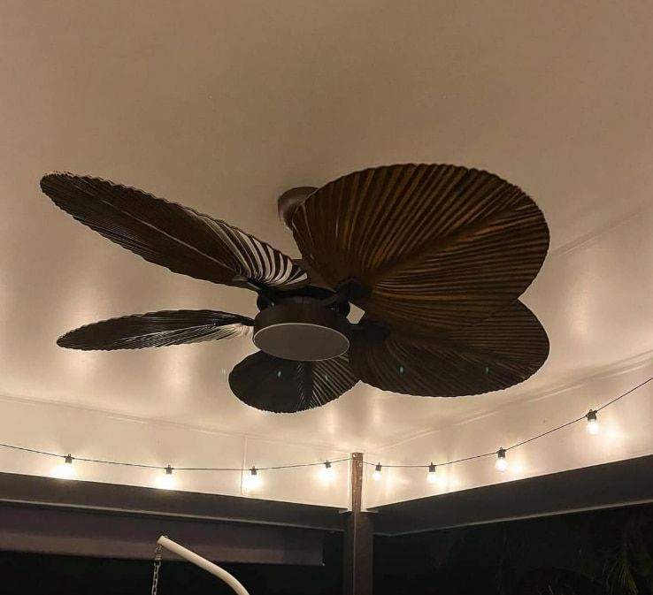 A Ceiling Fan — Stewys in Casuarina, NSW