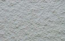 White Palette