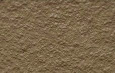 Desert Tan Palette