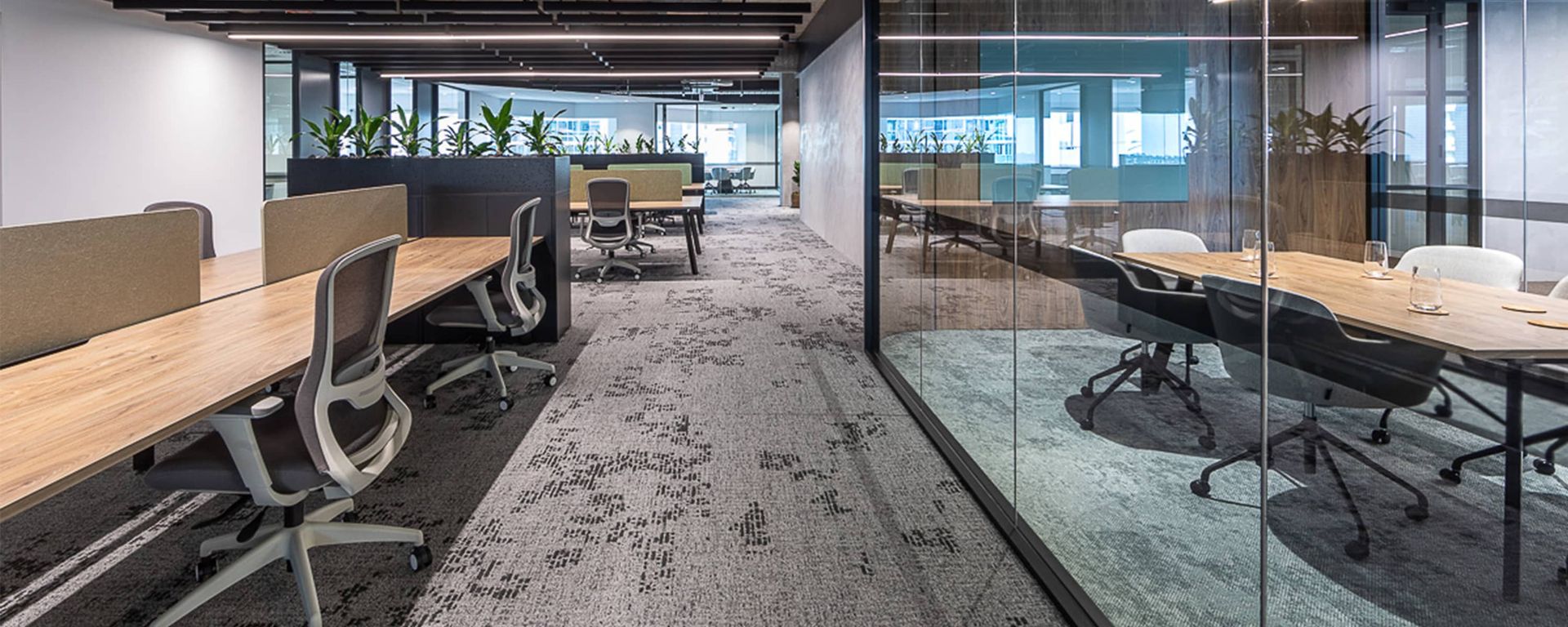 Modern office interior with desks, glass meeting room, and carpeted hallway — Hoppens Floorworld in Manunda, QLD